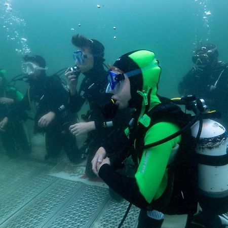 ホテル Tauchbasis Stechlin エクステリア 写真